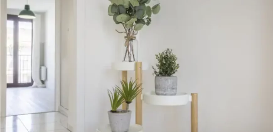 Location d’une chambre dans un T4 meublé au 17 rue de Crimée, 13003, Marseille